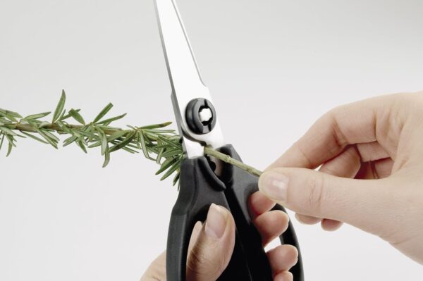 Multi-Purpose Kitchen and Herbs Scissors